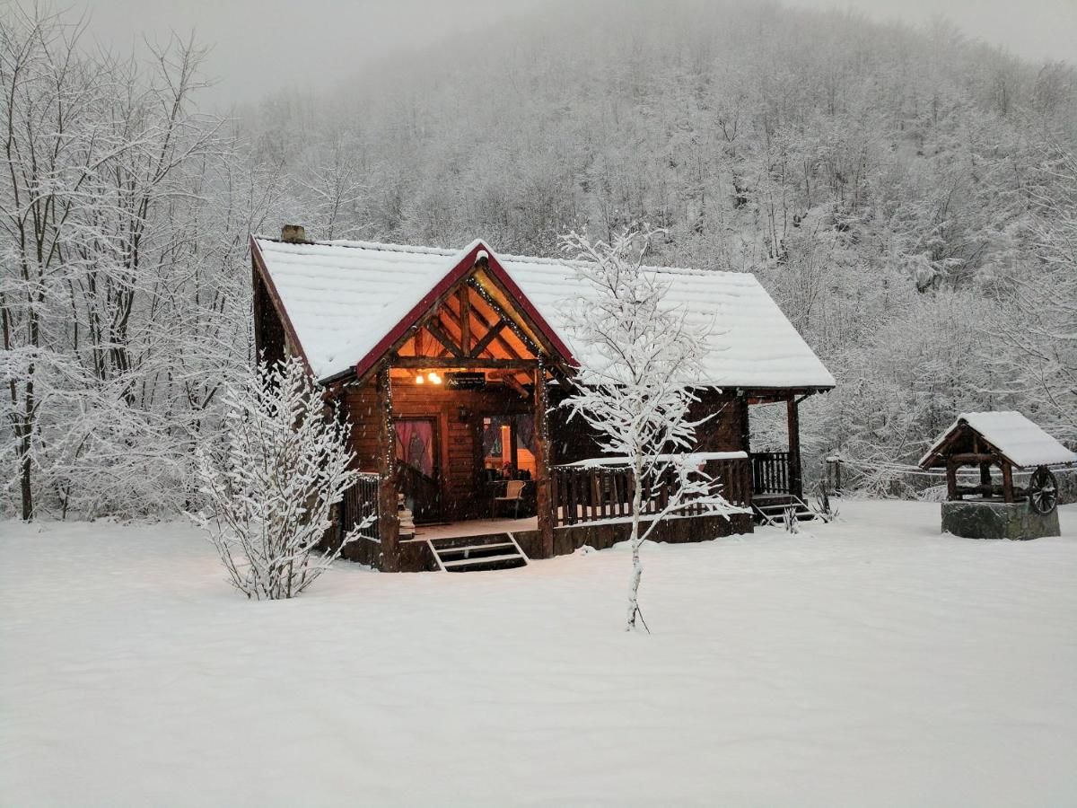 Лоджи The Little Mountain Cabin Borlova-4