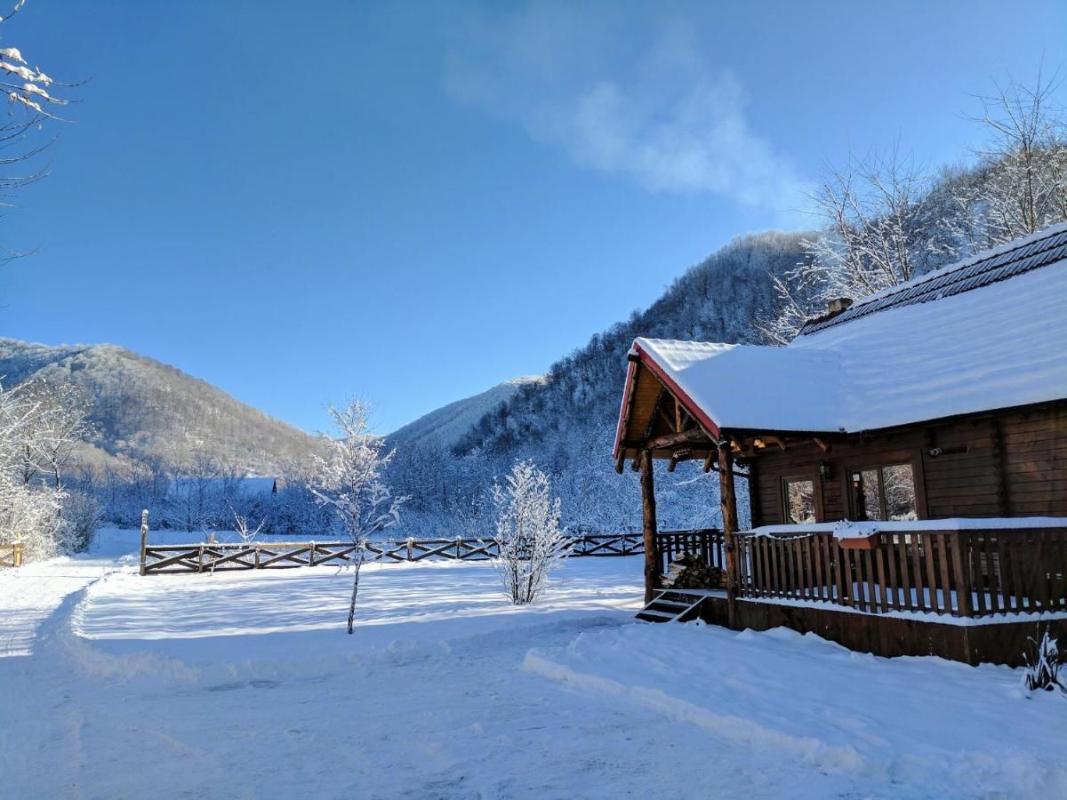 Лоджи The Little Mountain Cabin Borlova-13