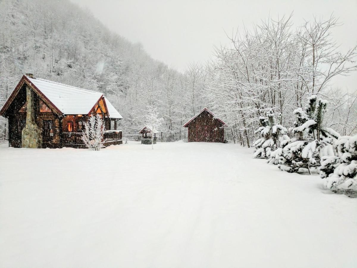 Лоджи The Little Mountain Cabin Borlova-14