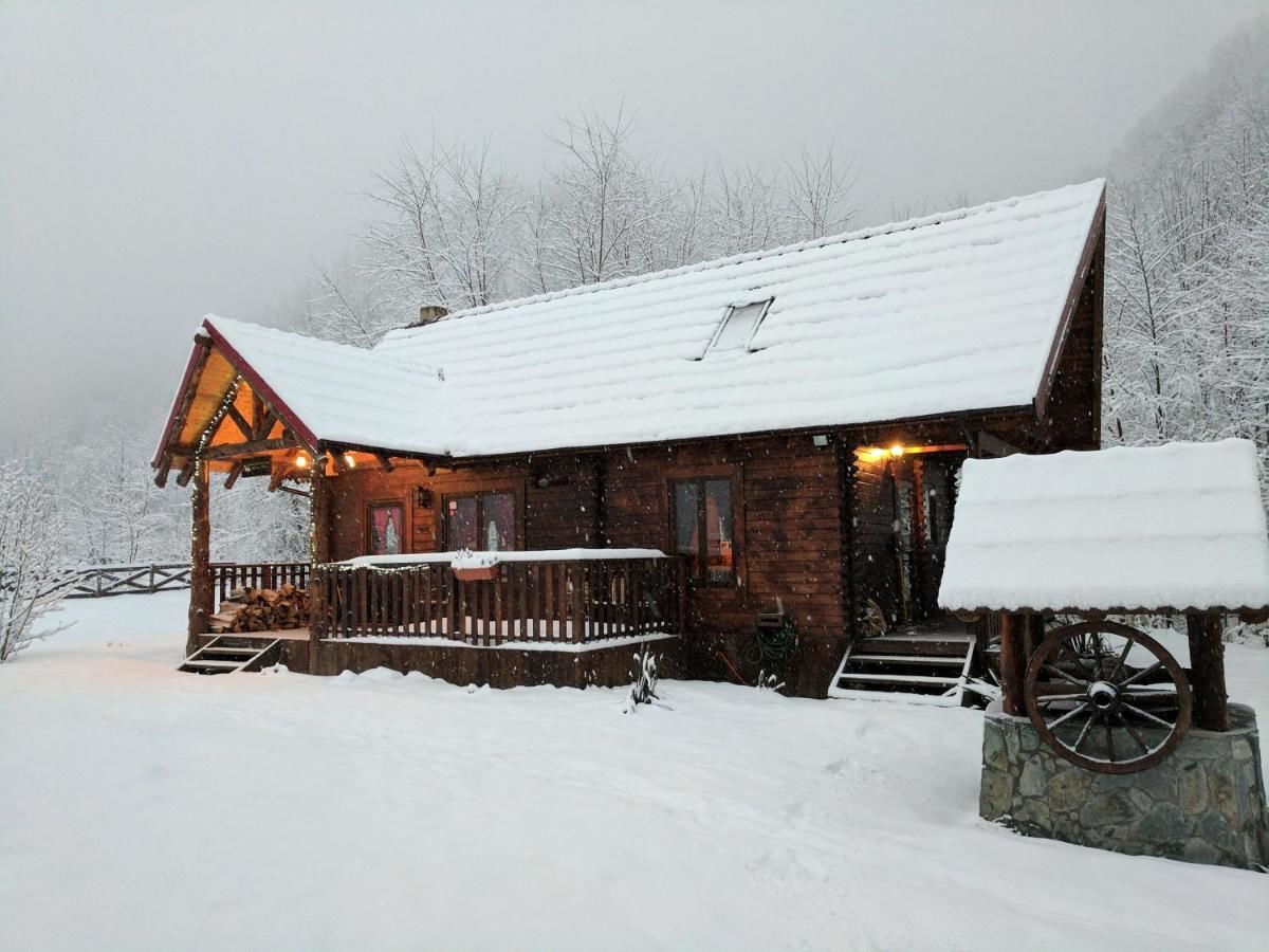 Лоджи The Little Mountain Cabin Borlova-15