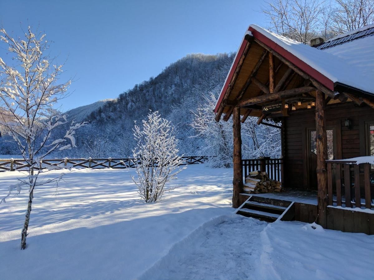Лоджи The Little Mountain Cabin Borlova-17