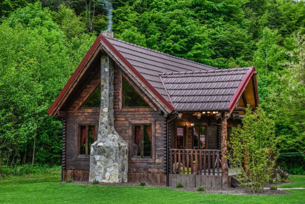 Лоджи The Little Mountain Cabin Borlova-21