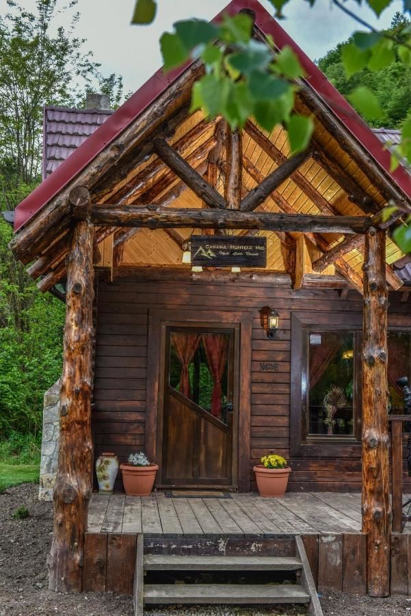 Лоджи The Little Mountain Cabin Borlova-22