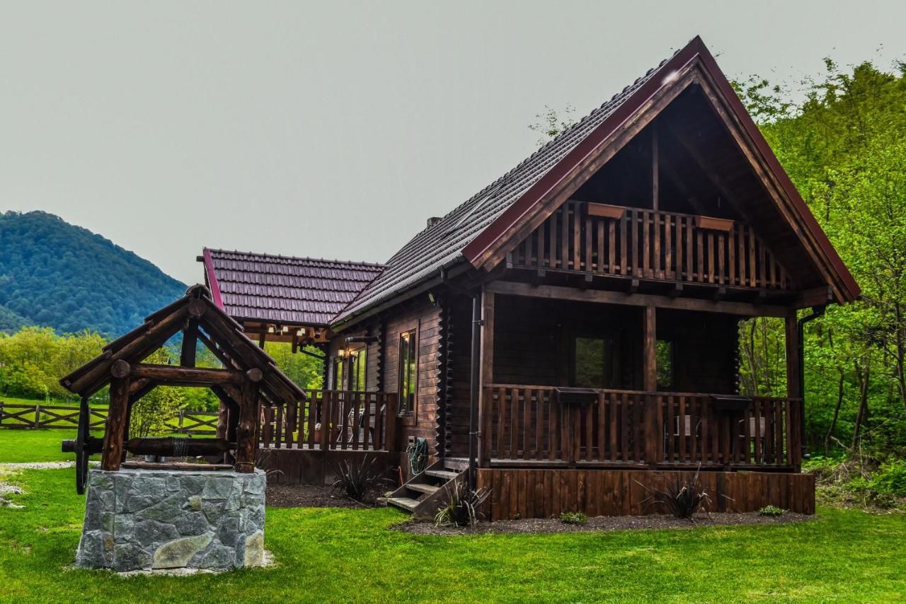 Лоджи The Little Mountain Cabin Borlova-5