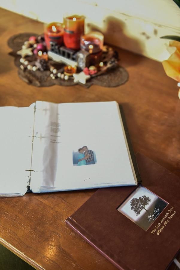 Лоджи The Little Mountain Cabin Borlova-24
