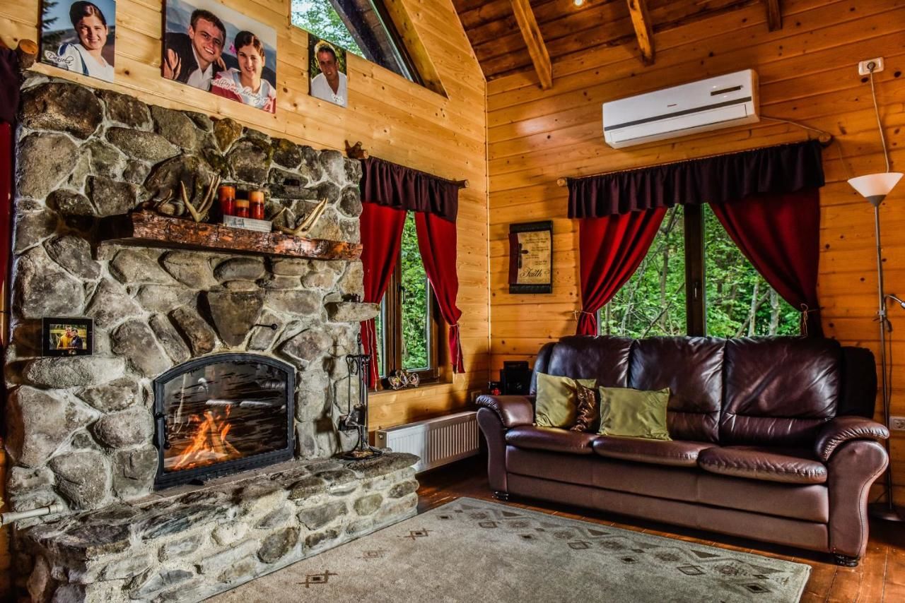 Лоджи The Little Mountain Cabin Borlova-27
