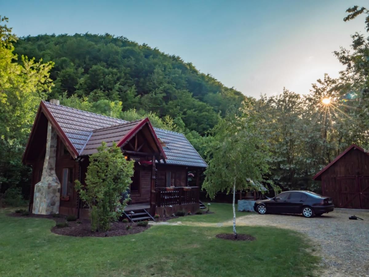 Лоджи The Little Mountain Cabin Borlova-7