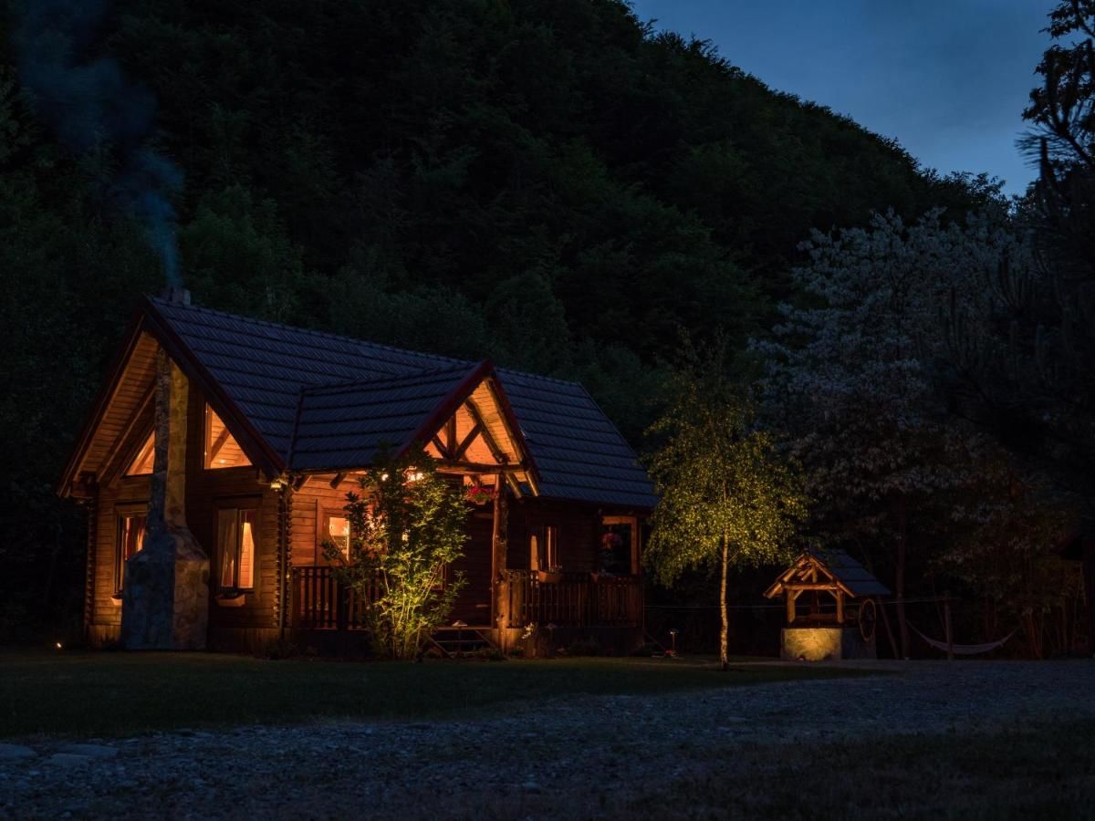 Лоджи The Little Mountain Cabin Borlova-8