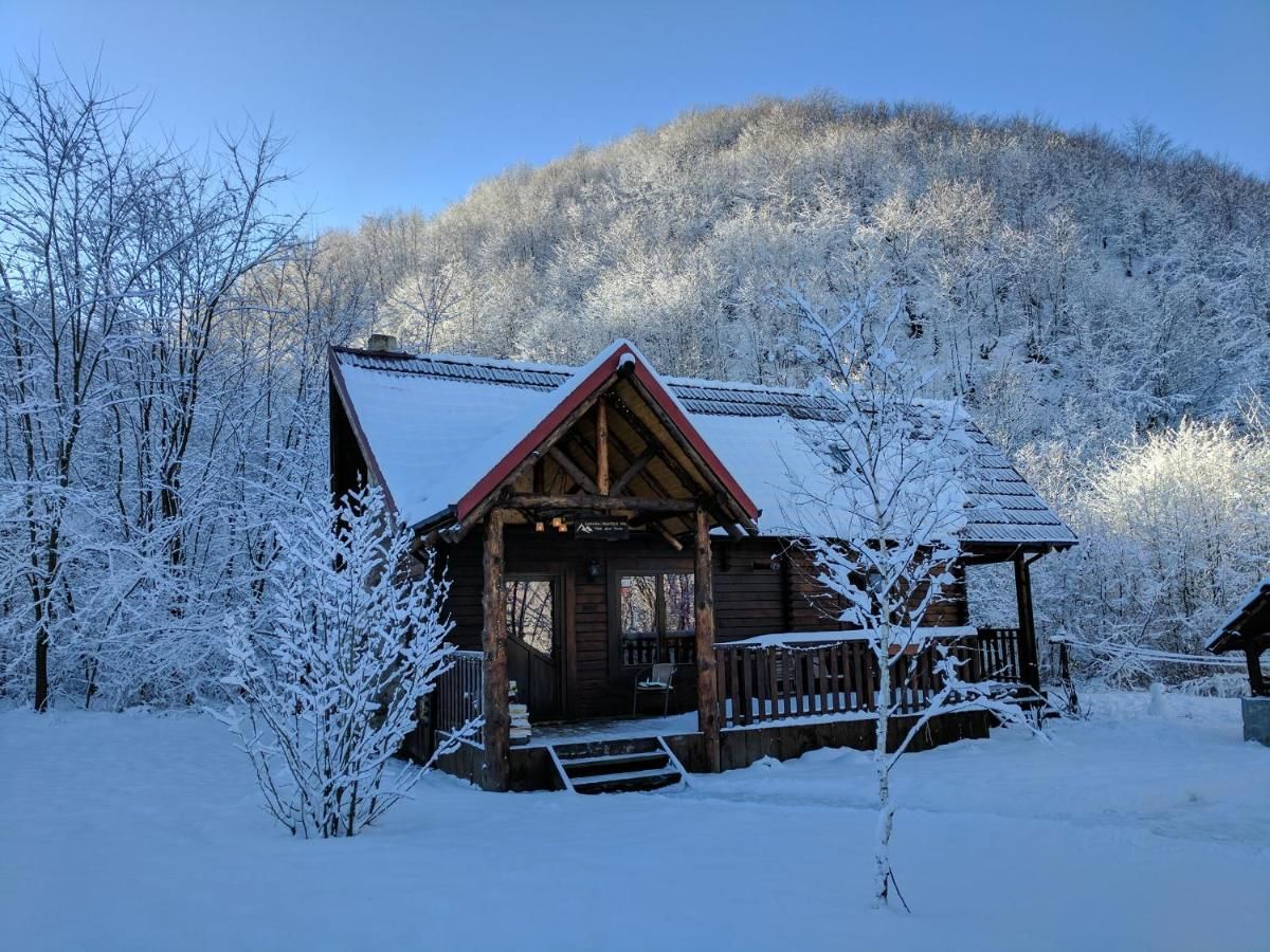 Лоджи The Little Mountain Cabin Borlova-12
