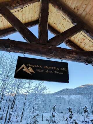 Лоджи The Little Mountain Cabin Borlova-7