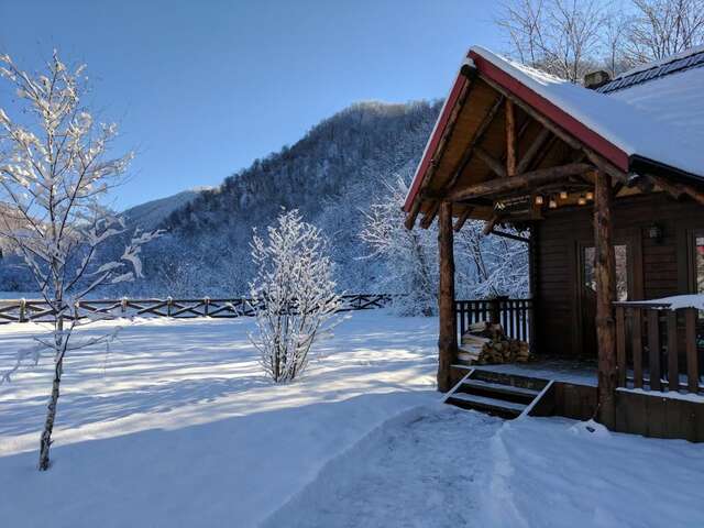 Лоджи The Little Mountain Cabin Borlova-16