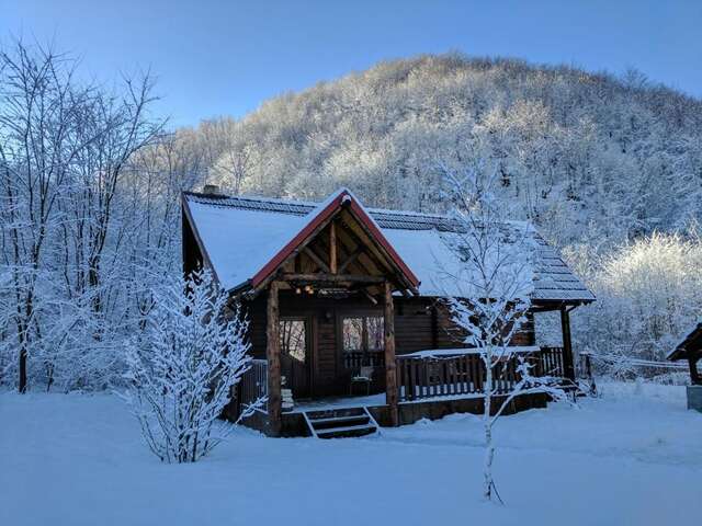 Лоджи The Little Mountain Cabin Borlova-11
